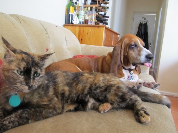 istickoutmytongueatyou