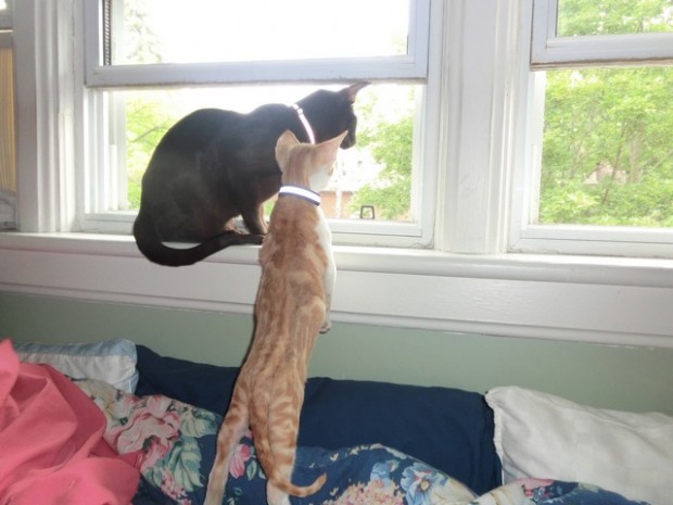 sure does lookinteresting