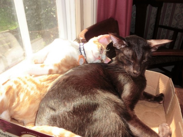 discuss something with u-moveoveralittle3