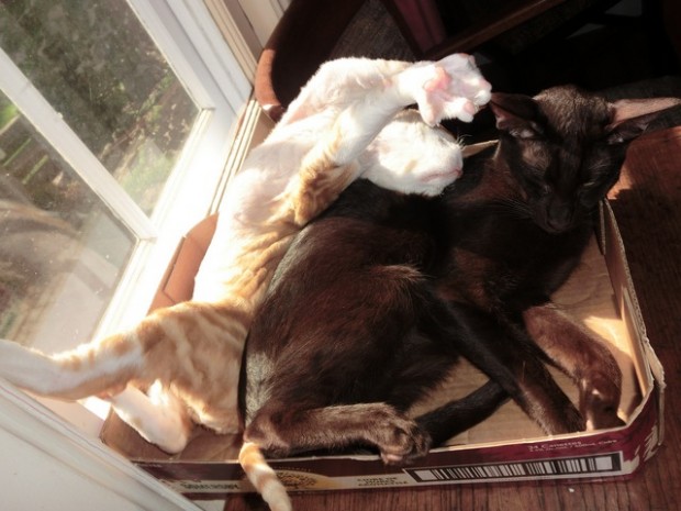 notenoughroomtostretch4