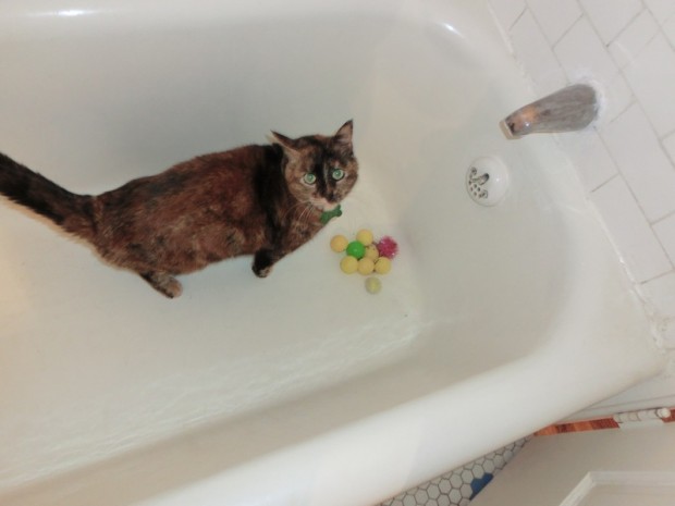 i thought theyweresafe!