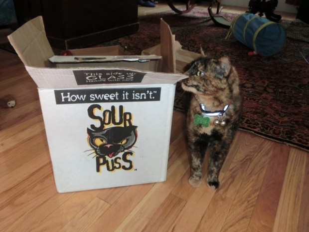 norshouldboxbeusedtosurprise