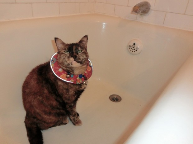 You do see what's happening here right