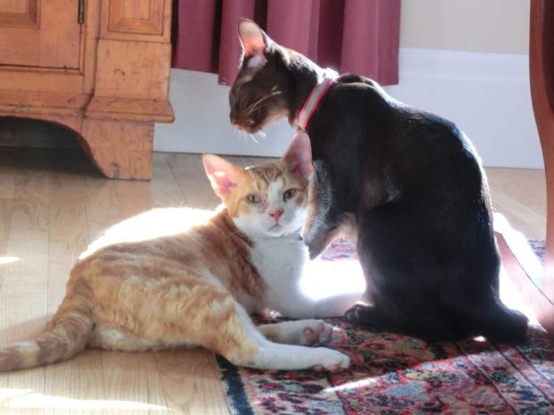 wellwhat do you think