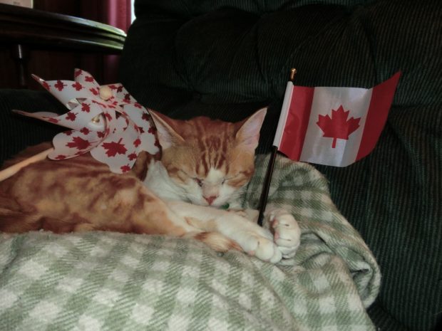 happycanadaday!