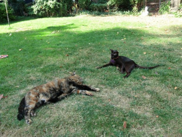 look how well we are doing