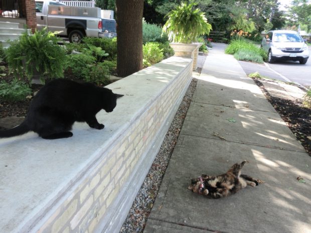 mybestcomehitherlook