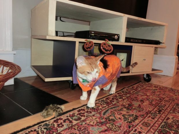 frodo-hallooween-1-costume