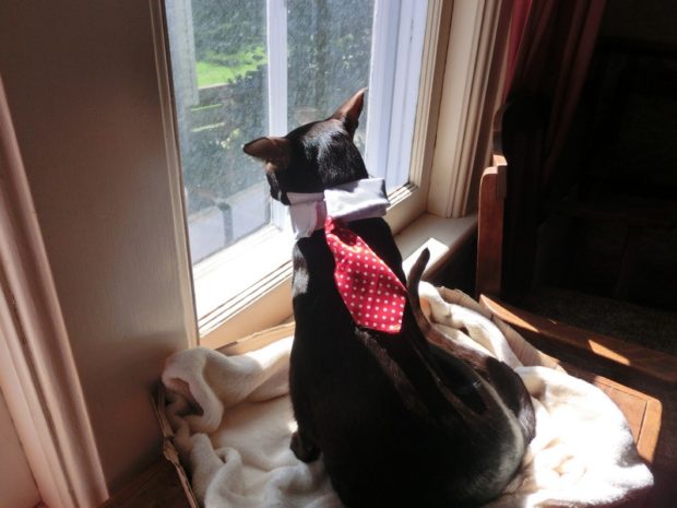 sunday-selfie-tie-backwards-zulu-wardrobe-malfunction