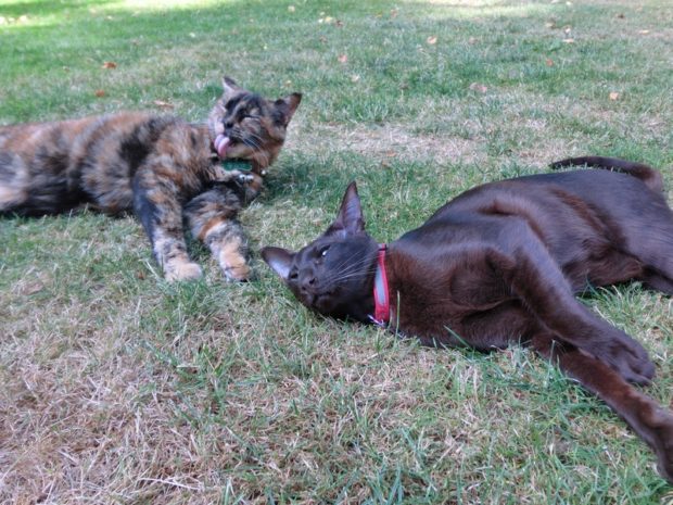 wheniopen-my-eyes-you-better-not-be-here