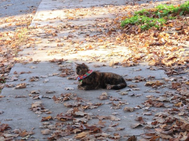 sunday-selfie-go-ahead-make-my-day